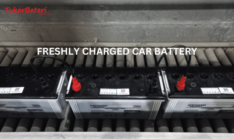 Freshly Charged Car Battery